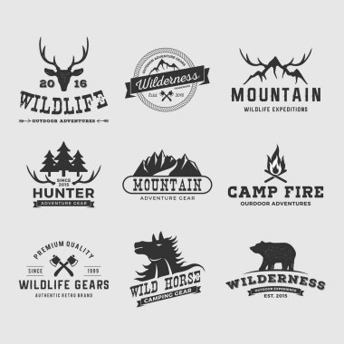 Camping and mountain emblem set