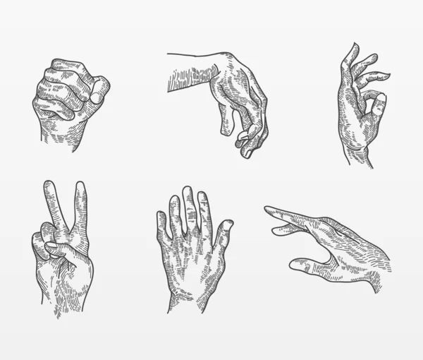 Set Hand Drawn Vector — Stock Vector