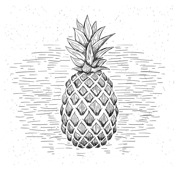 Czarny Biały Ananas Ilustracja — Wektor stockowy