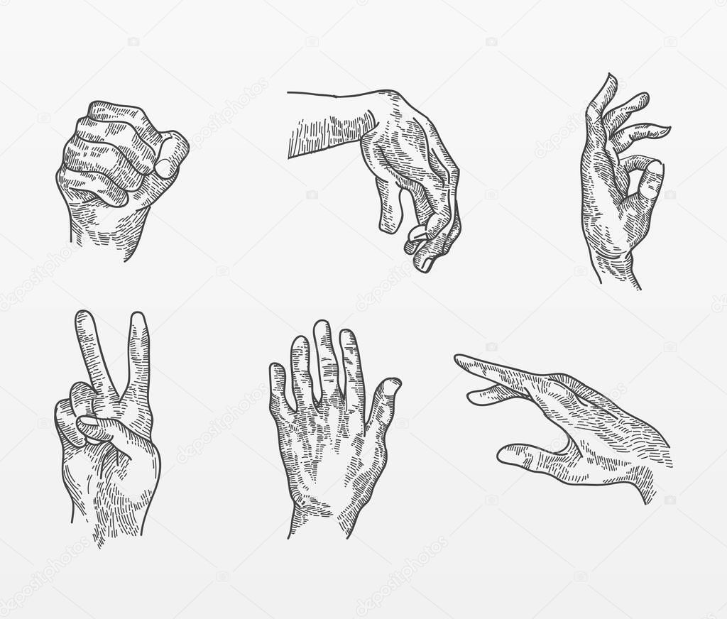 set of hand drawn vector