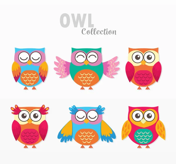 Cute Owls Birds Cartoon Set — Stock Vector