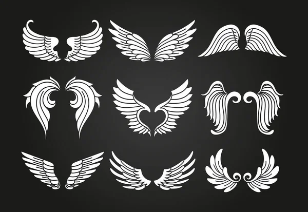 Разнообразие Красивых Крыльев — стоковый вектор