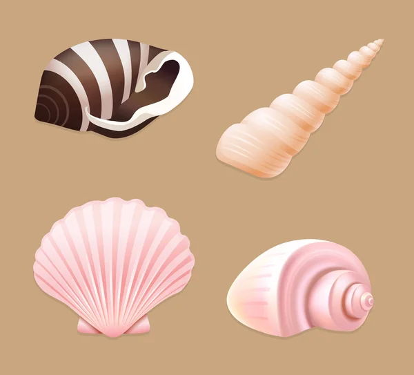 Variety Cute Seashell Set — Stock Vector