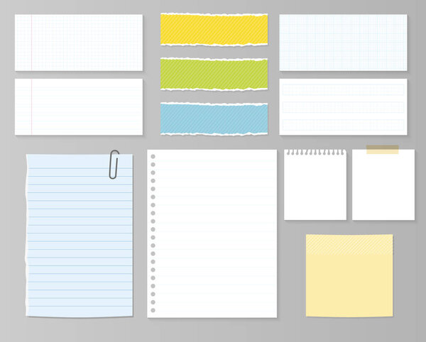 Paper and post vector set