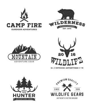 Camping and mountain emblem set