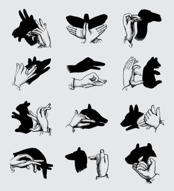 Hayvan Gölgelerinin Çeşitliliği