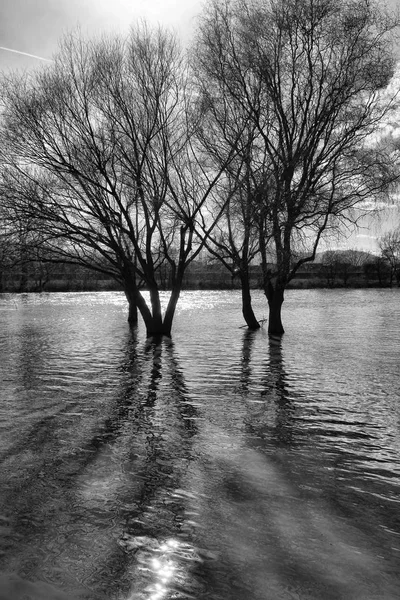 自然災害 河川洪水 — ストック写真