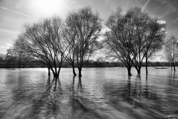 Natuurramp Overstroming Rivier Zwart Wit — Stockfoto