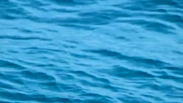 Meereswasseroberfläche mit Wellen und Wellen. — Stockvideo