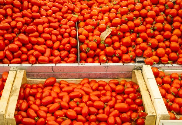 販売の完熟トマトの山 — ストック写真