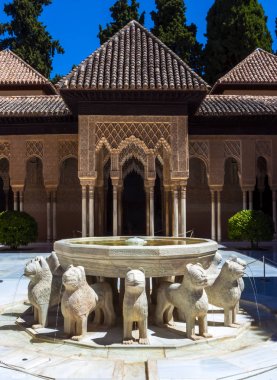 Alhambra palace, Granada aslan çeşme,