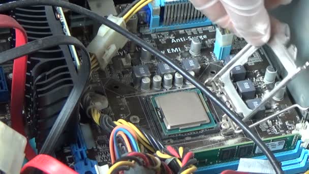 Instalace a odebrání procesoru počítače (cpu) — Stock video