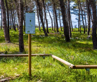 Ormandaki Fitness eğitimi