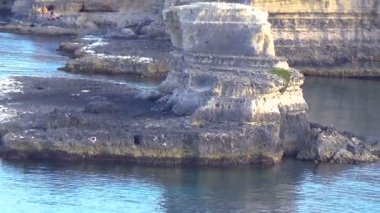 Torre Sant 'Andrea sahili (St. Andrew kulesi) - Melendugno, bazı insanlar açık mavi denizde yüzüyorlar