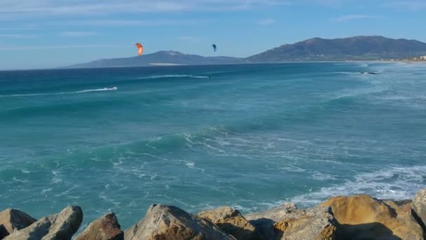 Surfista Kitesurf Navega Onda Oceano Espanha Tarifa — Vídeo de Stock