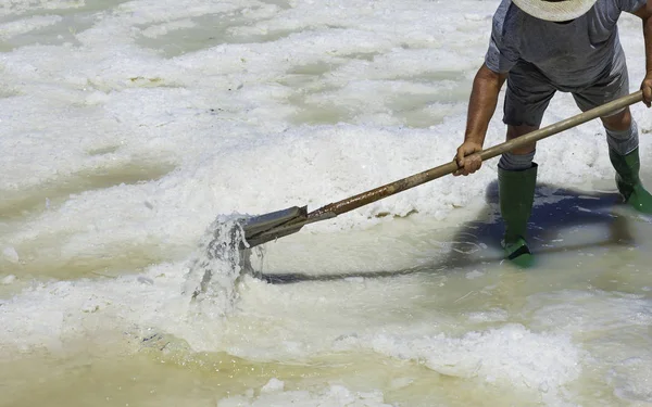 特拉帕尼 2016 意大利 工人铲盐结晶盐的农场 在地面充满自然海水中的盐分 — 图库照片