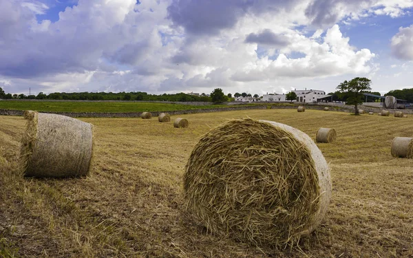 Panorama Rural Landscape Yellow Field Sheaves Hay Blue Sky — Stock Photo, Image