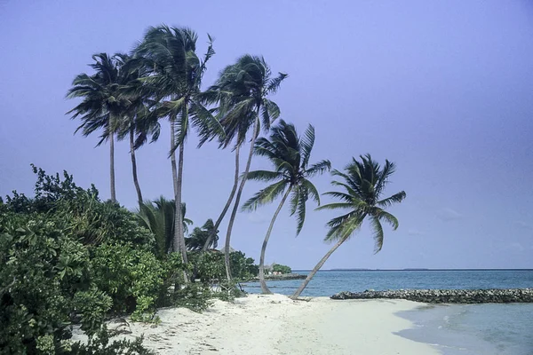 Spiaggia delle Maldive vista oceano — Foto Stock