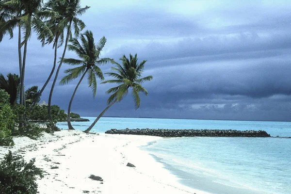 Maldív-szigetek strand kilátással az óceánra — Stock Fotó