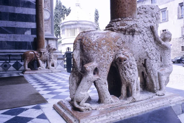 Santa Maria Maggiore Bazilikası'na, Bergamo, Lombardia, İtalya'nın Beyaz Aslan