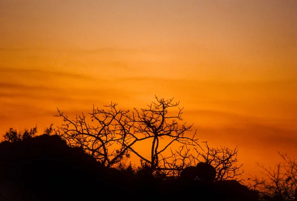 Puesta de sol en África —  Fotos de Stock