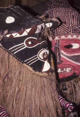 Zulu kabile dans