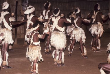 Zulu kabile dans