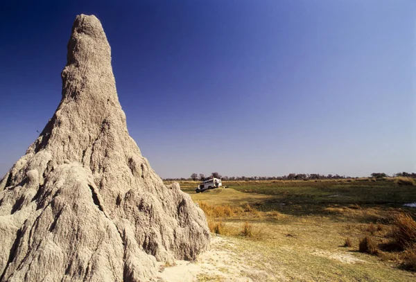 Termitenhügel in Botswana — Stockfoto