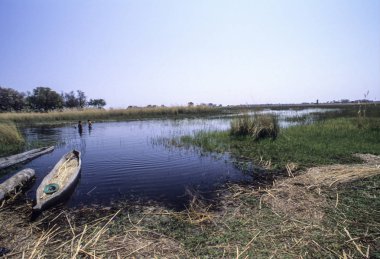 turist okavango Deltası, Botsvana