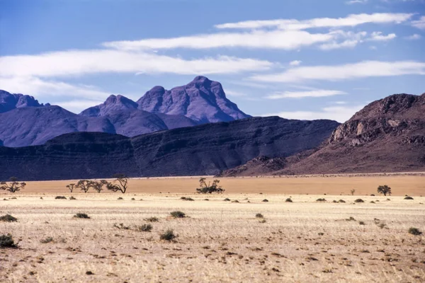 Namib naukluft park — Foto Stock