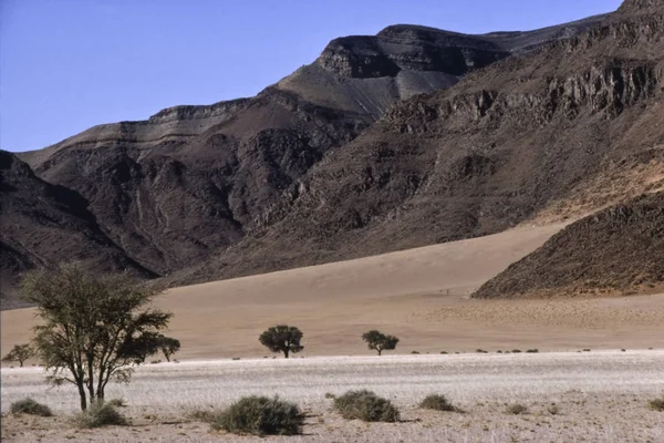 Namib naukluft park — Stock Photo, Image