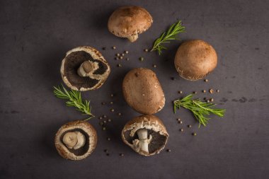 Orman malzeme çekme mantar