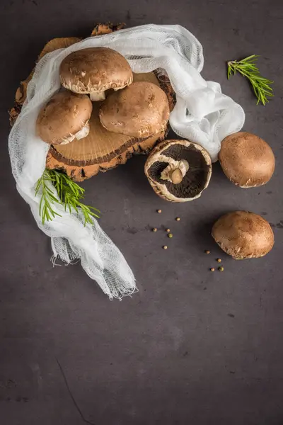 Forest picking mushrooms — Stock Photo, Image