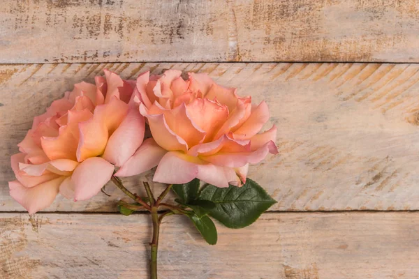 Frischer Strauß rosa Rosen. — Stockfoto