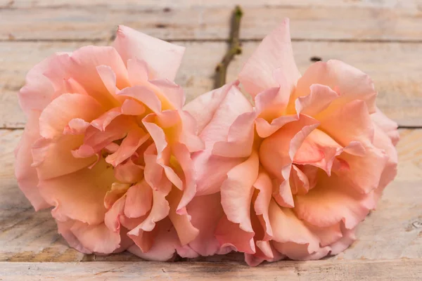 Verse bos bloemen roze rozen. — Stockfoto