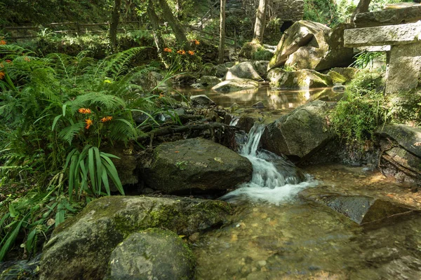 Tam kayalar ve yoğun bitki örtüsü arasında akan nehir.