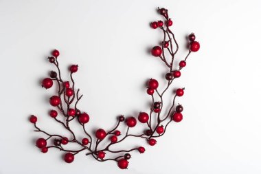 Beyaz kırmızı meyveler holly