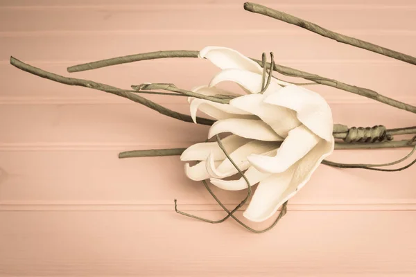 White gardenia blossom — Stock Photo, Image