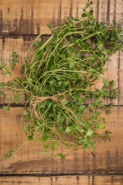 demet kekik eski ahşap tahta üzerinde