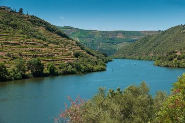 Teraslı üzüm bağları Douro Valley Alto Douro şarap Bölgesi'ne de