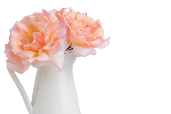 新鲜束粉色玫瑰鲜花在罐子里，白色上孤立 — 图库照片