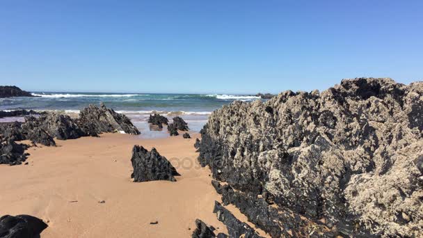 Praia com rochas no Almograve Alentejo Portugal — Vídeo de Stock