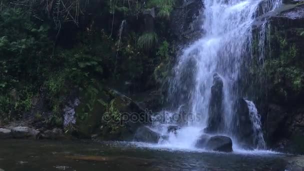 Schöner wasserfall in cabreia, sever do vouga, aveiro, portugal. — Stockvideo