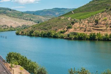 Douro Valley Alto Douro şarap bölgesi Kuzey Portekiz teraslı üzüm bağları