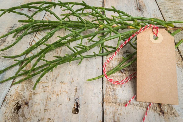 Verse rauwe groene Zeekraal — Stockfoto