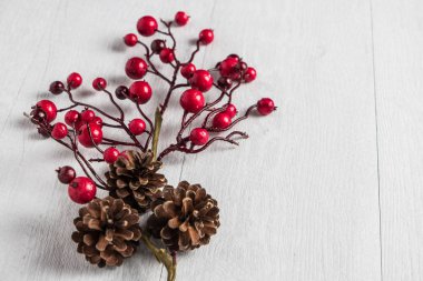 Beyaz kırmızı meyveler holly