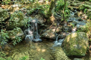 Tam kayalar ve yoğun bitki örtüsü arasında akan nehir.