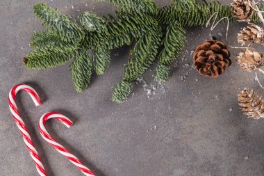 Parlak Noel ya da yeni yıl ağaç arka planında köknar dalları