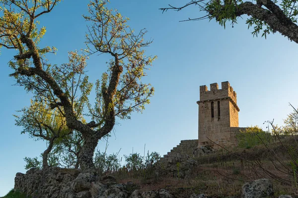 Utsikt Över Numao Slott Rådet Vila Nova Foz Coa Portugal — Stockfoto