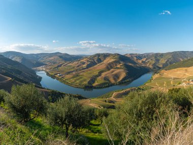 Douro Valley ve nehir Portekiz Pinhao Köyü yakınındaki teraslı üzüm bağları görünümünü. Kavram Portekiz seyahat ve Portekiz en güzel yerleri.